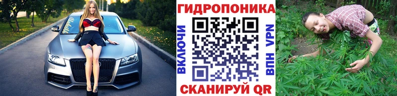Купить наркотики сайты Мураши ГАШИШ  Метадон  Cocaine  Меф  Канабис 