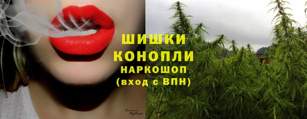 трава Белая Калитва