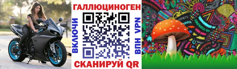 Псилоцибиновые грибы мицелий  Мураши 